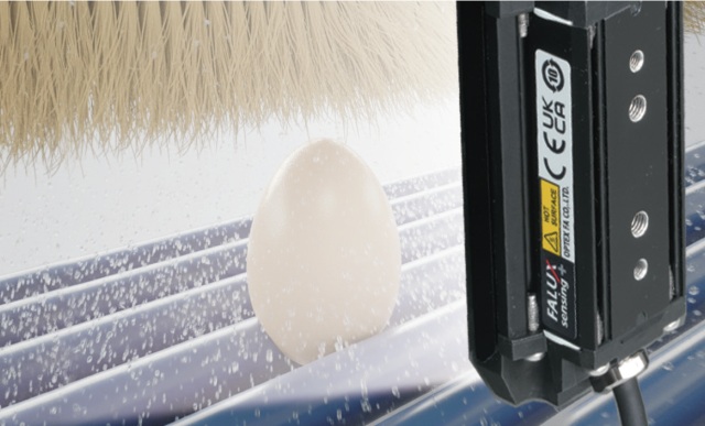 卵の洗浄工程における外観検査